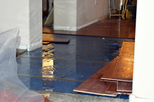 Professional Burst Pipe Cleanup technician working in Marion, TX
